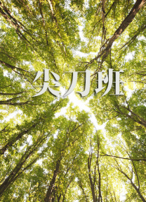 久久夜色视频