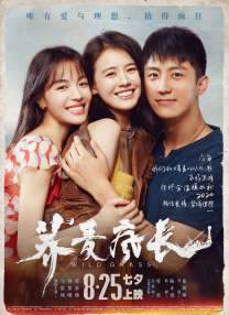 火车上和少妇做爰